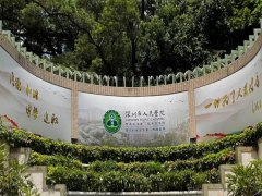 深圳市人民医院口腔科怎么样？其是以牙齿矫正为特色的项目